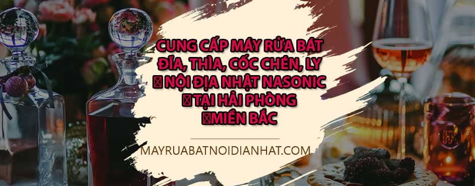 Dic chi ban may rua bat noi dia nhat panasonic tai Hai Phong